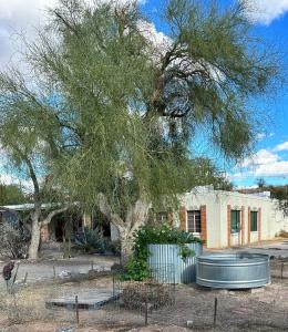 a large tree in front of a building at One Bedroom Apartment at Rancho Rillito in Tucson