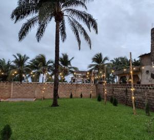 a palm tree in a yard next to a wall with lights at Ivy Residence 4br 6ba with terrasse in Porto-Novo