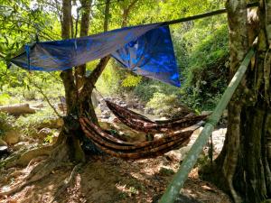 ein Paar Hängematten an einen Baum gefesselt in der Unterkunft Farmer home stay & trekking in Banlung