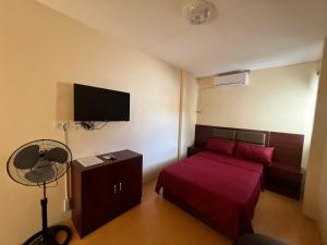TV a/nebo společenská místnost v ubytování APARTELLE BORACAY