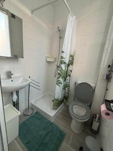 ein Bad mit einem WC, einem Waschbecken und einer Dusche in der Unterkunft Studio à 7 min du métro Le Kremlin-Bicêtre - proche Paris in Villejuif