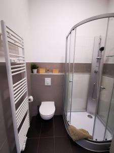 uma casa de banho com um WC e uma cabina de duche em vidro. em SC 7 Cozy Family & Business em Berlim