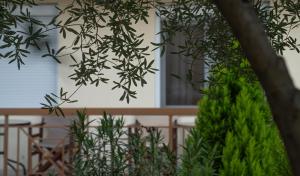 una vista de un edificio a través de un árbol en Guesthouse Adonis, en Kato Loutraki