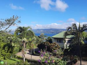 una casa con palmeras y flores delante de ella en Picturesque Lakeshore House, en Tilarán