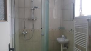 un baño con ducha y lavabo en Zolo dom, en Liptovský Mikuláš