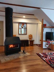 a living room with a fireplace in a house at Chalet Tupara in Vlasic