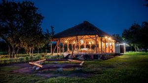 a lit up gazebo in a field at night at Mama Washindi Lodge in Pakwach East