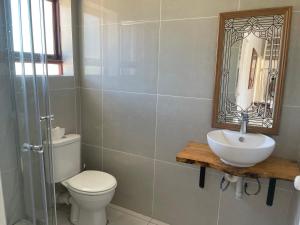 a bathroom with a toilet and a sink and a mirror at Supertubes Apartment in Jeffreys Bay +11 photos
