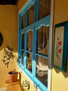 a blue window with a potted plant in a room at Guest House Ruh Achari in Sheki