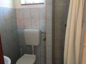 a bathroom with a toilet and a shower curtain at Lamar Apartman in Kapuvár