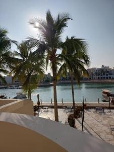 a view of a beach with palm trees and water at Hawana Marina East 4 in Wādī Khasbar