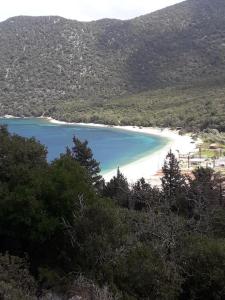 a view of a beach with blue water and trees at LEMON TREE GARDEN near Mirtos beach in Bekatoráta