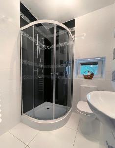 a bathroom with a shower and a toilet and a sink at HELLO GIEWONT in Zakopane +32 photos