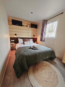 um quarto com uma cama, uma janela e um tapete em Bungalow Cosy équipé em La Boissière-de-Montaigu