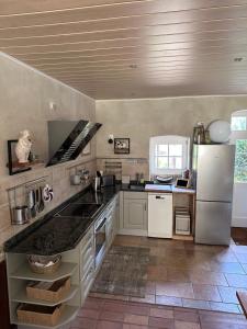 eine Küche mit einer Spüle und einem Kühlschrank in der Unterkunft Waldhaus Jellen in Dobbertin