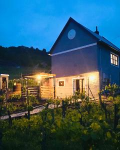 a small house in a field next to a vineyard at Csipke Somló Vendégház in Somlóvásárhely +20 photos