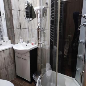 a bathroom with a shower and a sink and a toilet at Zbójnicka Chata in Zieleniec