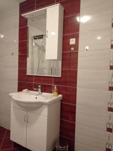 y baño con lavabo y espejo. en Apartment Rosemary en Vinkuran