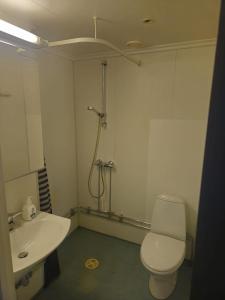 a bathroom with a toilet and a sink and a shower at Oslo Airport Inn in Gardermoen