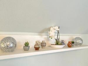 a shelf with vases and plants on it at Ferienwohnung Sonnenring in Lübbenau