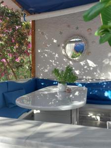 un tavolo con una pianta in vaso sopra di esso di Doron Hotel Delfini a Naxos Chora