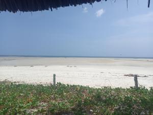 uma vista para uma praia com uma cerca e para o oceano em Oceanview Palm Terrace Homestay-nyali em Mombaça