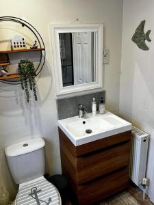 uma casa de banho com um lavatório, um WC e um espelho. em Flanders Fields em Dingwall