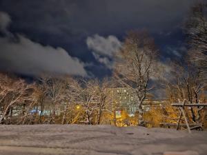 a snow covered field with trees and a cloudy sky at Studio apartment in Tromsø