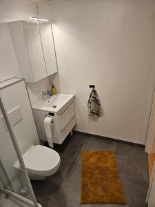 a bathroom with a white toilet and a sink at Studio apartment in Tromsø