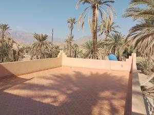 una vista desde el techo de una casa con palmeras en Tagtout en Tafraoute