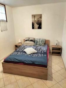 um quarto com uma cama grande e um edredão azul em Appartement dans villa Niçoise em Nice