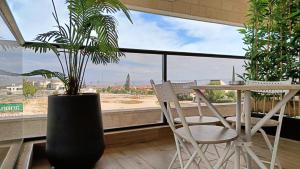 a table and chairs and a potted plant in front of a window at חדרי בוטיק B.Y in Bet Sheʼan