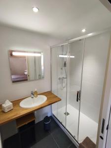 uma casa de banho com um lavatório e um chuveiro em Chambres d'hôtes, Zimmer, Domaine de Kervennec em Carhaix-Plouguer