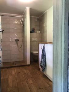 a bathroom with a shower and a toilet in it at Lakefront House & Sauna Mazury, quiet beautiful village, domekprzytulny in Ełk