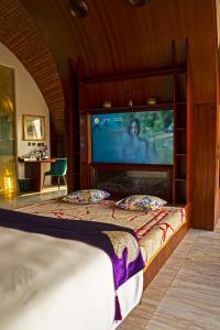 TV a/nebo společenská místnost v ubytování Nirvana Retreat By Patanjali Wellness Initiative