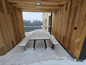 Benecko moderní apartmán A30 by AlkaTravel v zime