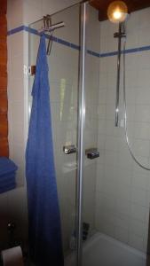 La salle de bains est pourvue d'une douche avec un rideau de douche bleu. dans l'établissement Ferienhaus Zur Einberger Schweiz, à Rödental
