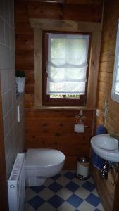 La salle de bains est pourvue de toilettes, d'un lavabo et d'une fenêtre. dans l'établissement Ferienhaus Zur Einberger Schweiz, à Rödental