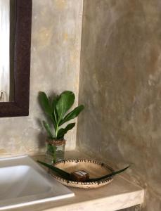 Fotografie z fotogalerie ubytování Mlango Paje House II v destinaci Paje
