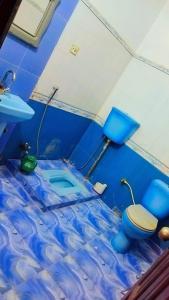 a blue room with a bed and a toilet at Embassy inn Guest House Hyderabad in Hyderabad