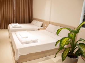 een kamer met 2 bedden en een potplant bij Light House Motel 978 in Long Hai