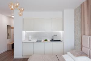 Η κουζίνα ή μικρή κουζίνα στο Apartamenty In - Prywatne Apartamenty - Gwiazda Morza Władysławowo +17 φωτογραφίες