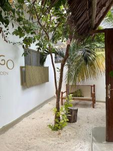 Fotografie z fotogalerie ubytování Mlango Paje House II v destinaci Paje