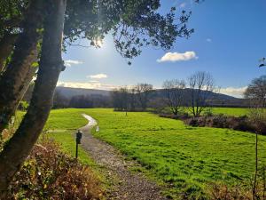een pad door een veld met een boom bij Celtic Minor Cottage in Ystalyfera