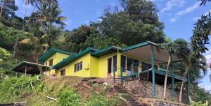 una casa amarilla en la cima de una colina en Limericks by the Sea, en Savusavu