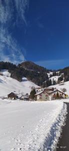 a snow covered field with houses in the background at Dom wiejski Artur in Goldingen