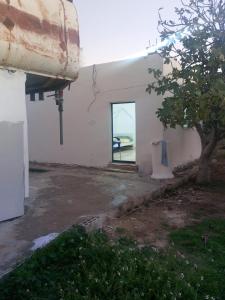 un edificio con una ventana y un árbol delante de él en الكرك - الربة, 