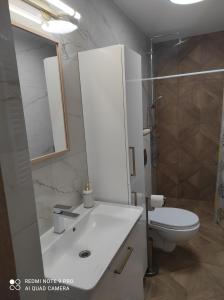 W łazience znajduje się umywalka, toaleta i lustro. w obiekcie Apartament Dawna Mleczarnia Apartament Sosnowy w mieście Nowa Ruda