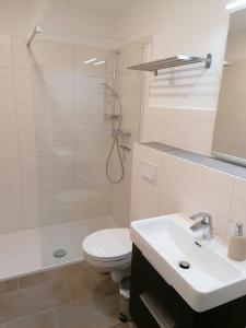 een badkamer met een douche, een toilet en een wastafel bij Cityflair Nähe Marktplatz - ABC328 in Wismar