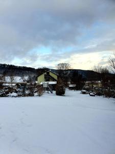 un campo cubierto de nieve con una casa en el fondo en Agroturystyka Natura, en Pilchowice